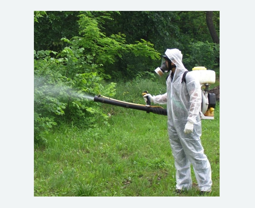 обработка территории от клещей в Быково